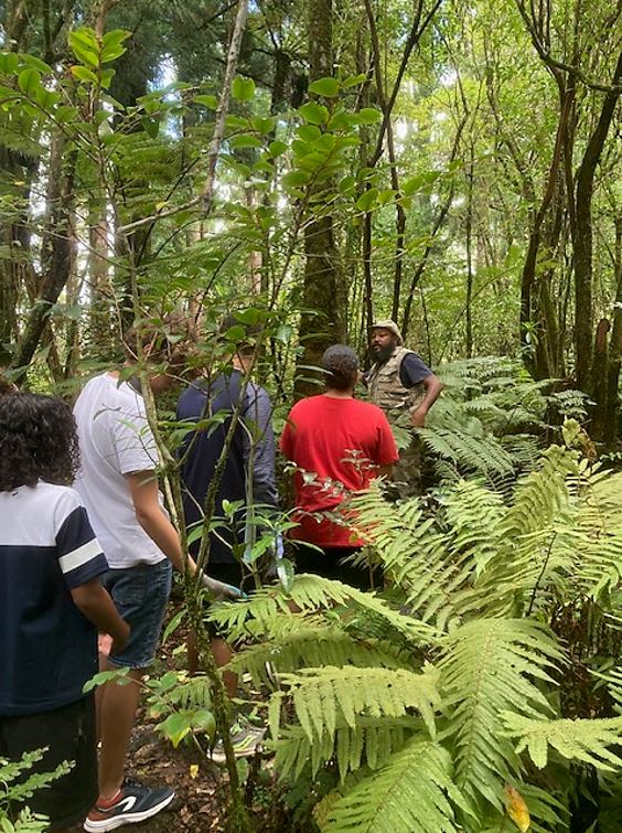 Sortie pédagogique en forêt à la découverte des plantes envahissantes