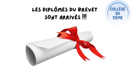 Les diplômes du BREVET 2024 sont disponibles.