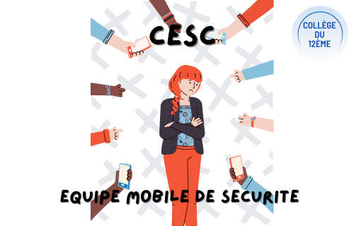 INTERVENTIONS EQUIPE MOBILE DE SECURITE AUPRES DES 6è et 5è
