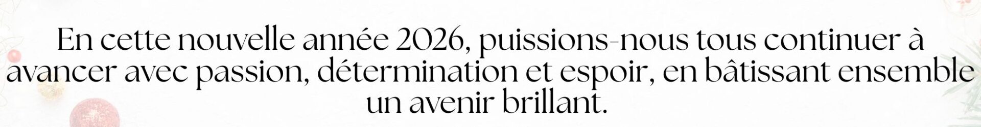 Une année qui se termine ….