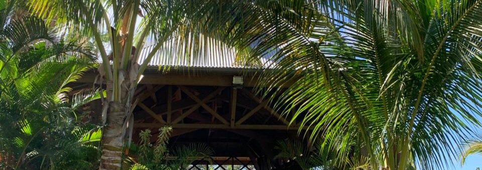 Journée de formation des délégués de classe – Devenir acteurs de la vie citoyenne