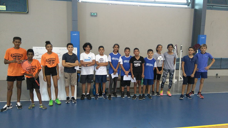 Tournoi qualificatif UNSS Badminton