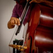 Concert du 26 août 2022 organisé par Joao FERREIRA