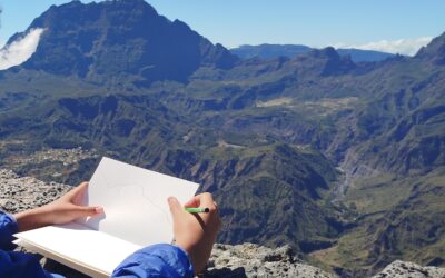 La classe de 506 en sortie croquis de paysage au Maïdo.