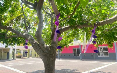 Journée du 25 novembre : une action forte menée par les Ambassadeurs de la Laïcité et de l’Égalité