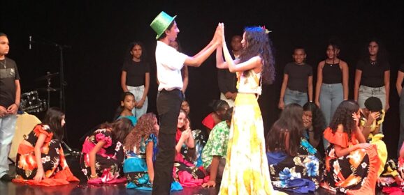 LA FILLE AUX OISEAUX