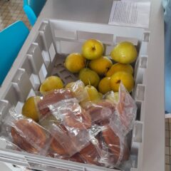 Une collation aux 6èmes offerte par les ambassadeurs nutrition.