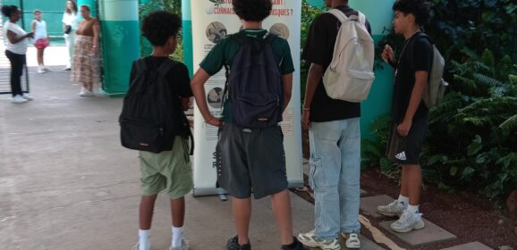 Retour en image sur la Semaine de la sécurité routière au collège