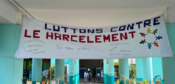 Retour en image sur la journée NAH au Collège