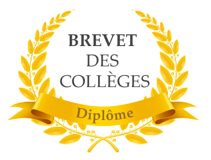 Critères d’évaluation de l’oral du brevet