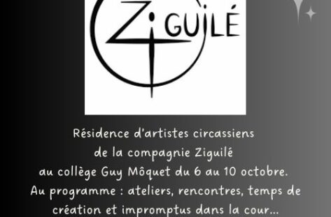 Résidence d’artistes en territoire scolaire             octobre 2025