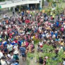 Le cross du collège – édition 2025