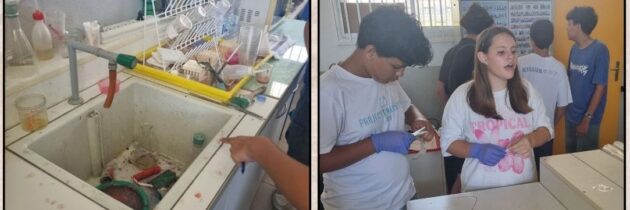 Enquête criminelle 2025