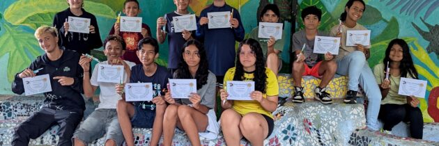 Castor Informatique 2025