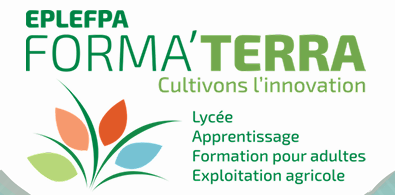 Collège Jean Albany - Académie de La Réunion