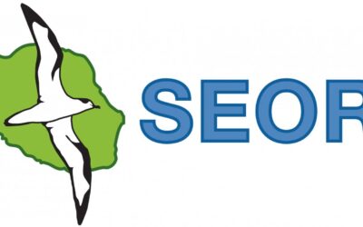 Intervention de la SEOR au collège Jean d’Esme