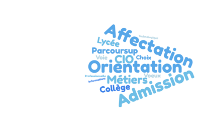 Actualités Orientation Affectation post 3e 2026 : consultation des offres de formation 2026