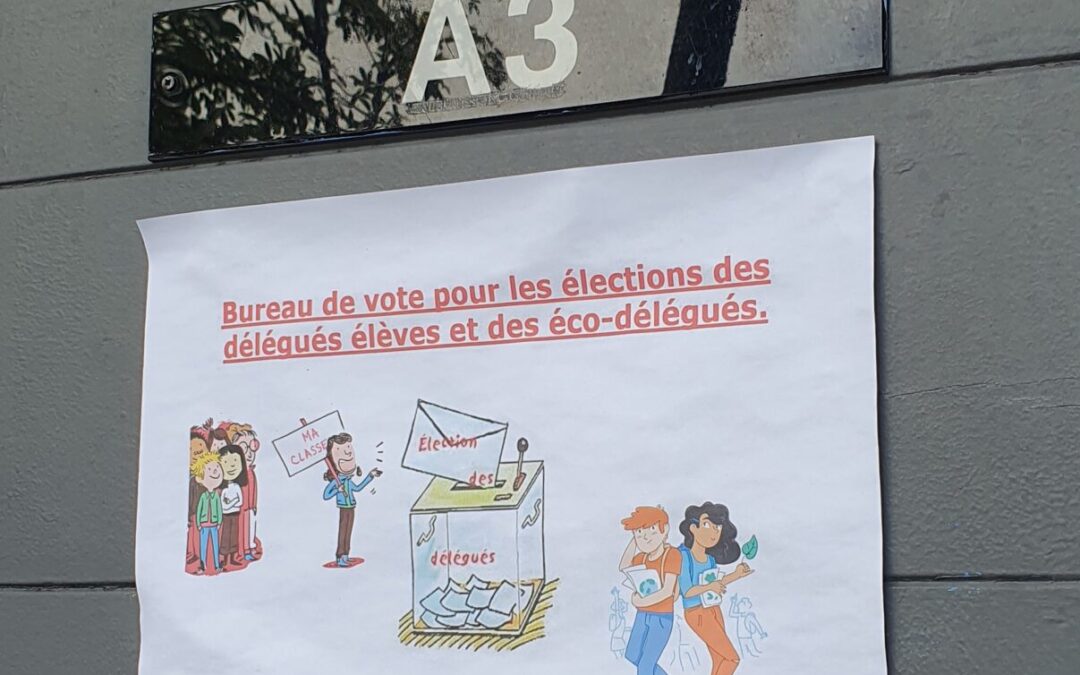 Élections « grandeur nature » des délégués élèves et des éco-délégués 2025