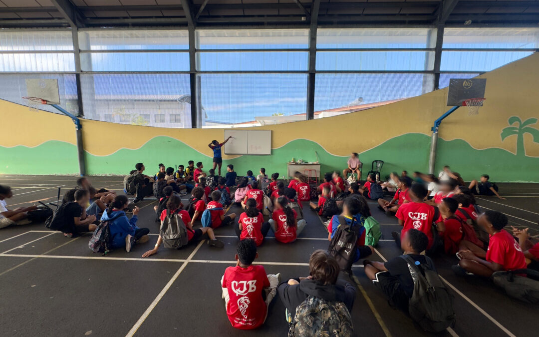 Compétition Badminton