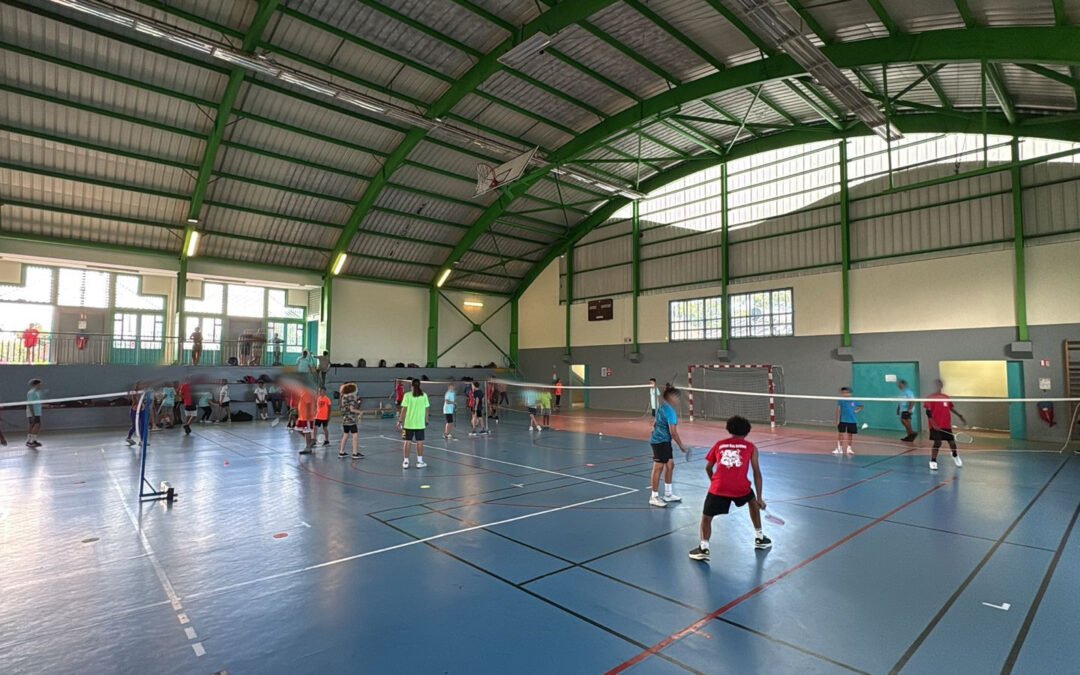 Competition badminton benjamins