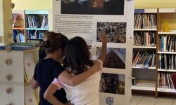 Elèves devant une affiche avec des photos de baobabs. Le texte donne des explications sur la plante.