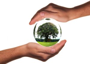 « Deux mains humaines ouvertes soutiennent une sphère transparente dans laquelle se reflète un grand arbre vert au milieu d’un champ, symbolisant la protection de la nature. »