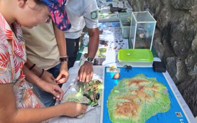 Les éco-délégués en action !