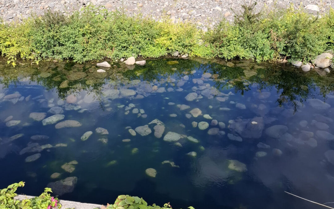 Première sortie des élèves de la classe ATE
