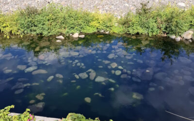 Première sortie des élèves de la classe ATE