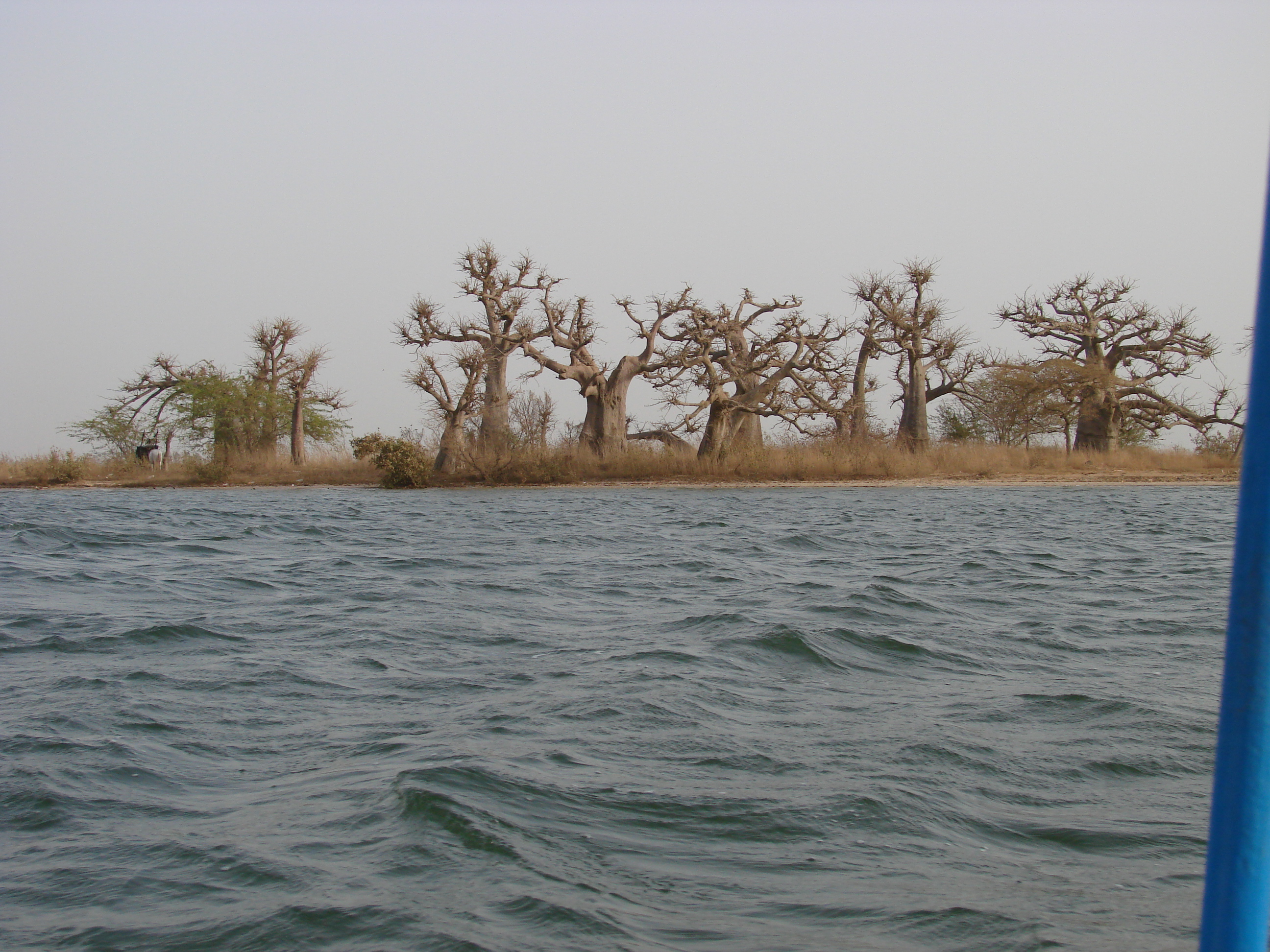 Solesse et Sac à dos : Le Sénégal de Clarisse P. 1er partie