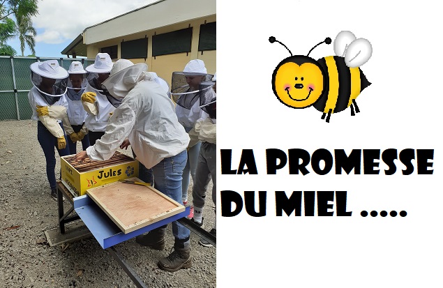 La promesse du miel…