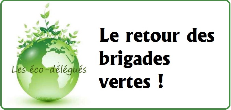 Eco-délégués : Le retour des brigades vertes !