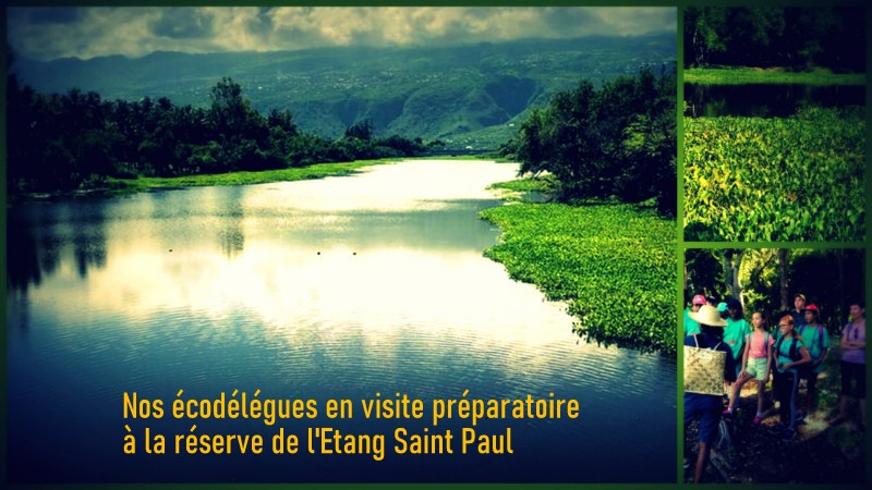 Visite de la réserve de l’étang-Saint-Paul pour nos éco-délégués