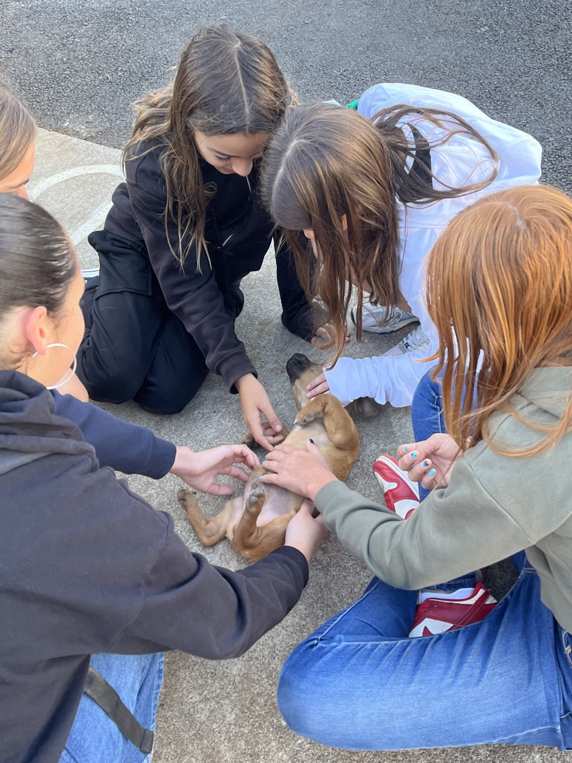 0.Rencontre_Titi_le-chiot&Eco-delegues