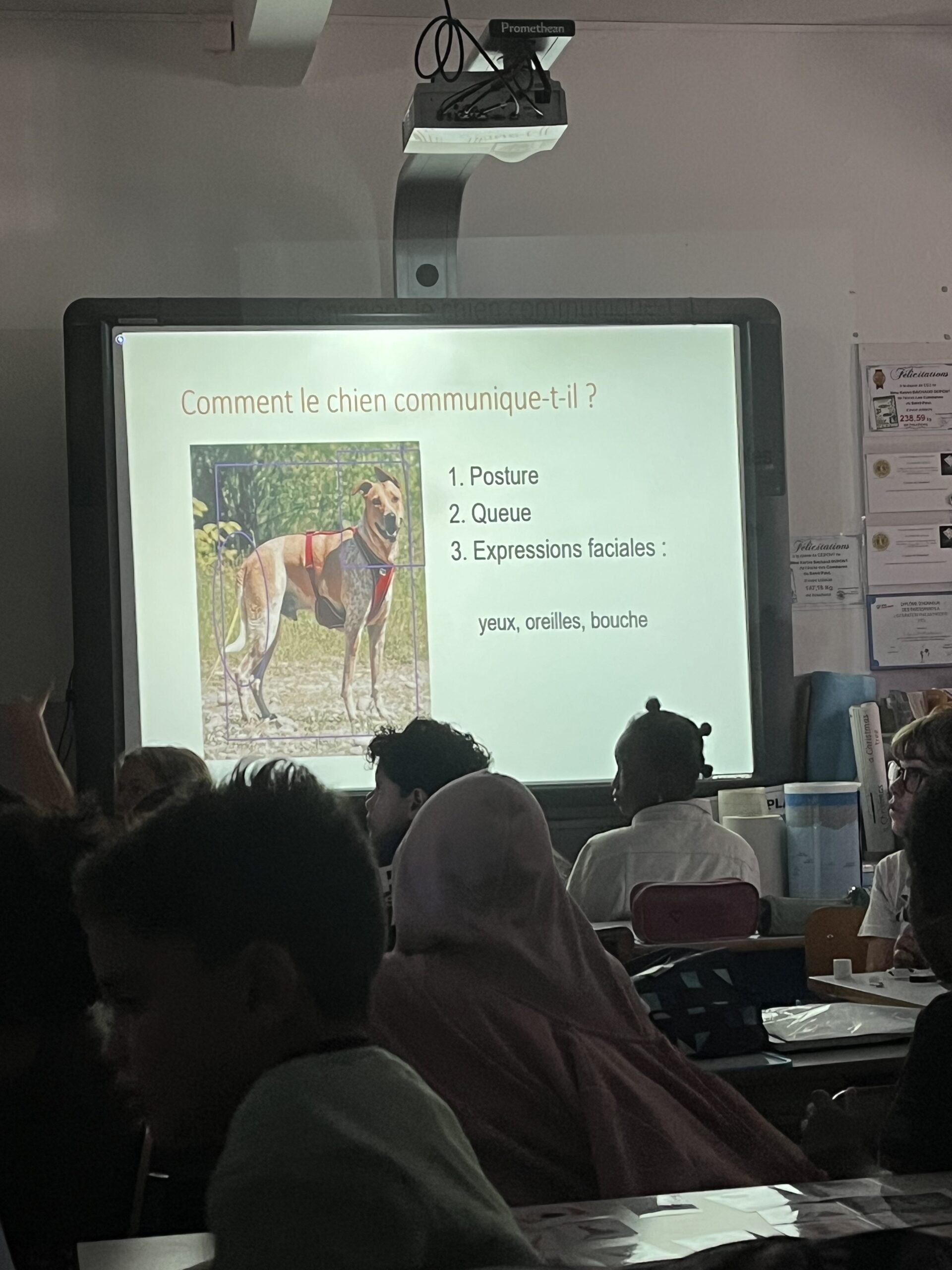 1.Comment-le-chien-communique