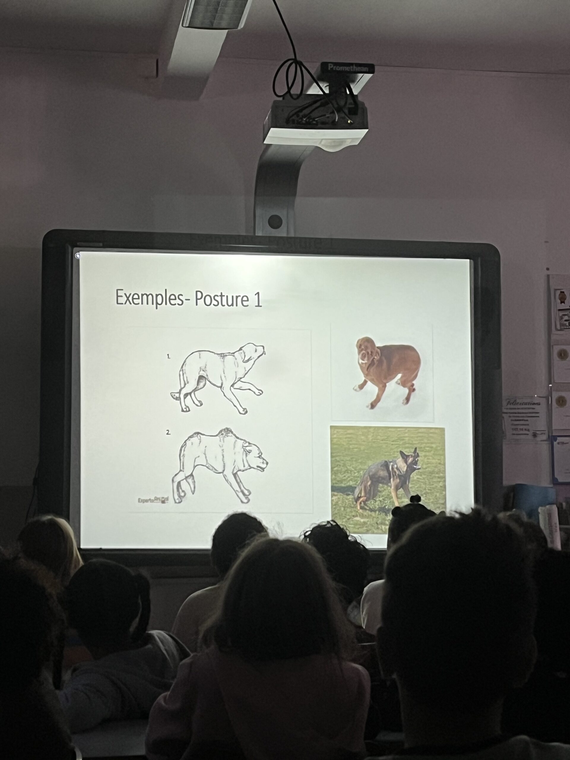 2.Exemples-Posture 1