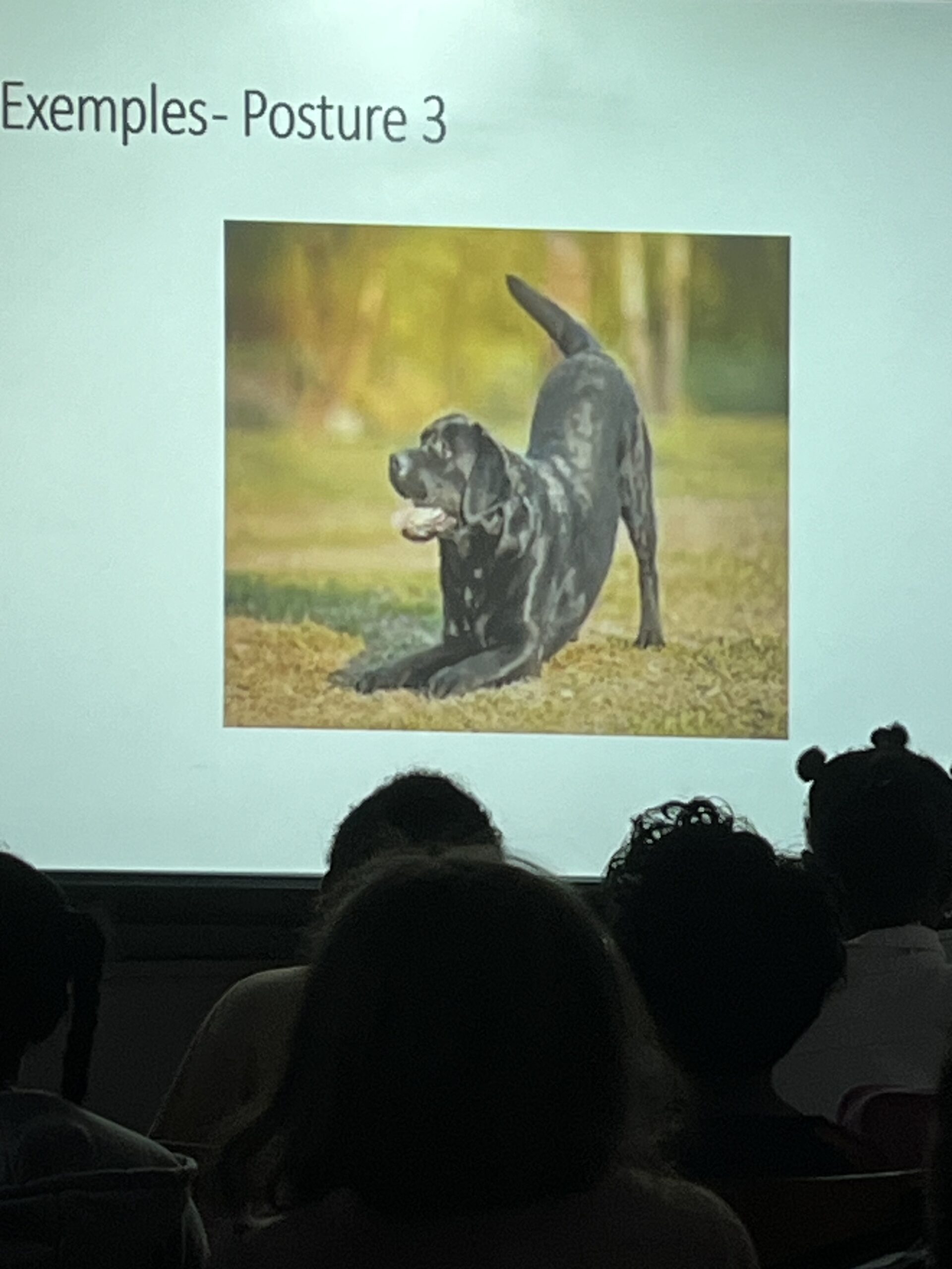 3.1.Exemples_Posture 3