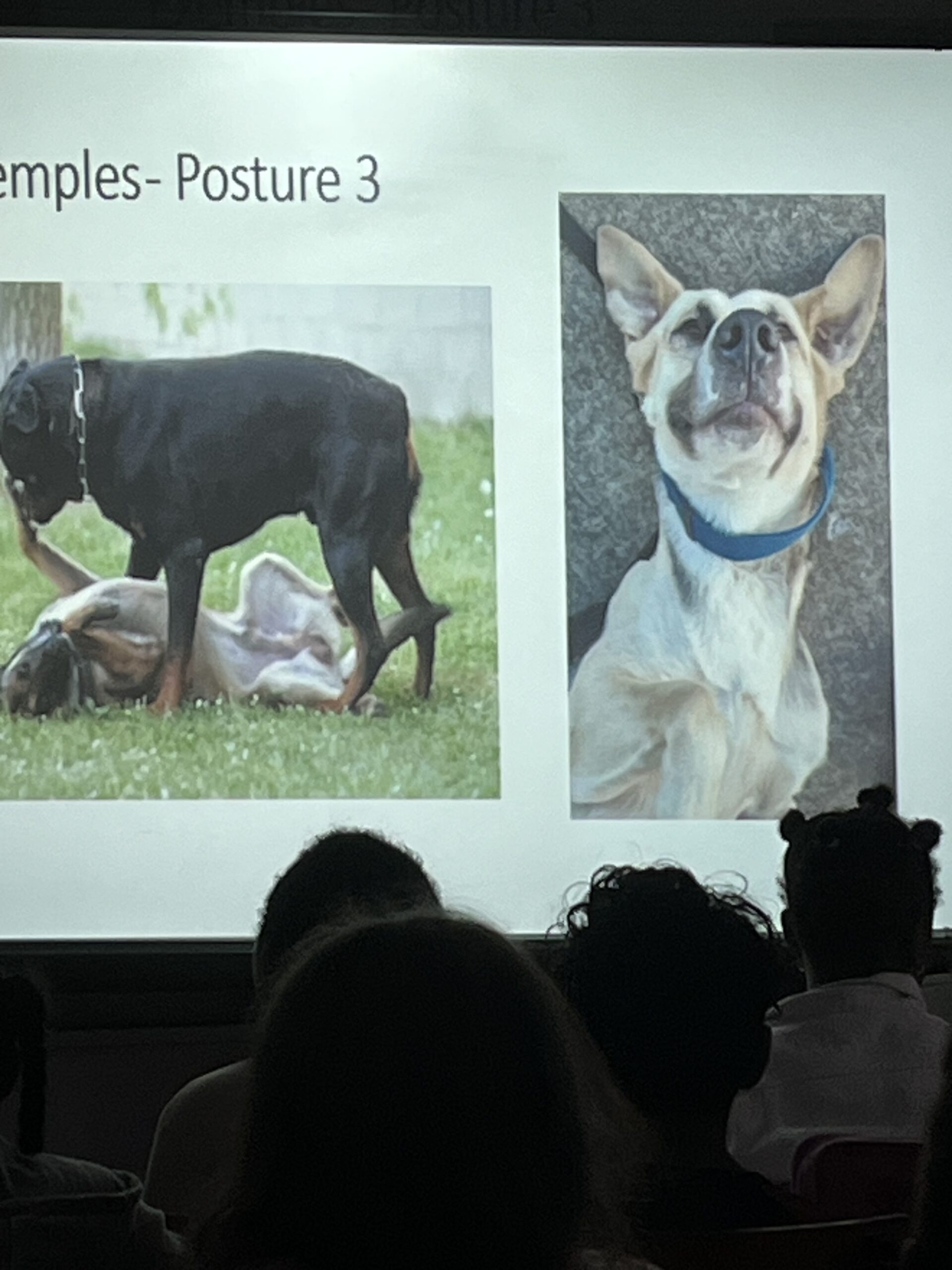 3.2.Exemples-Posture 3