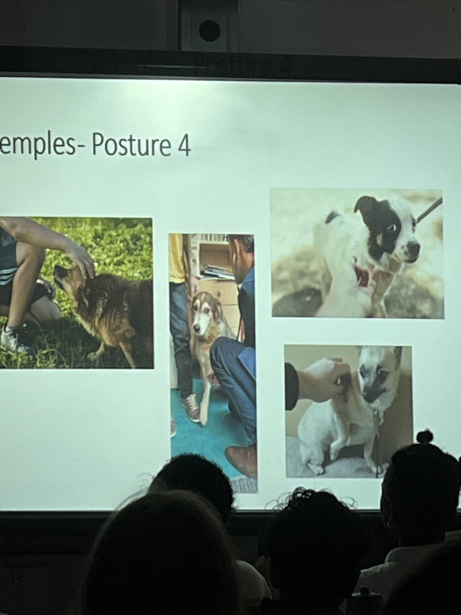 4.Exemples-Posture 4