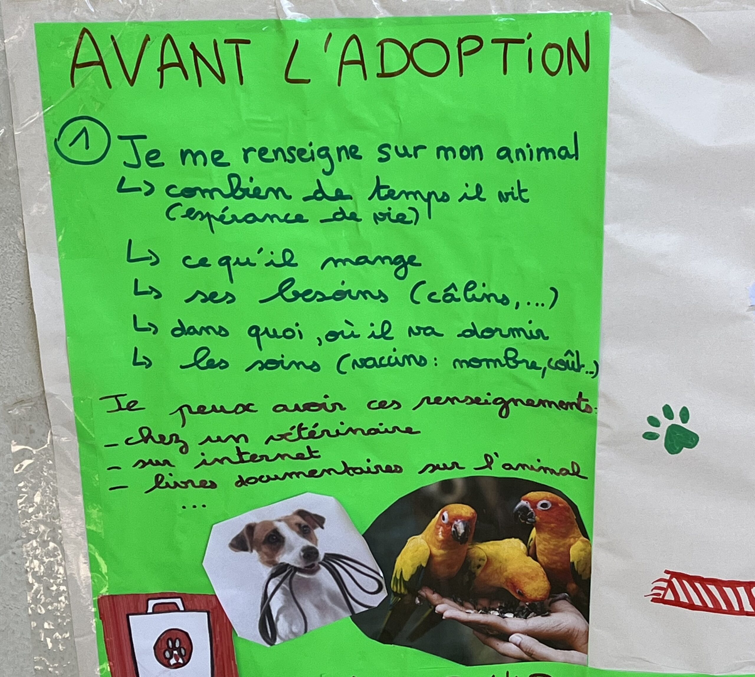 Adoption 1n