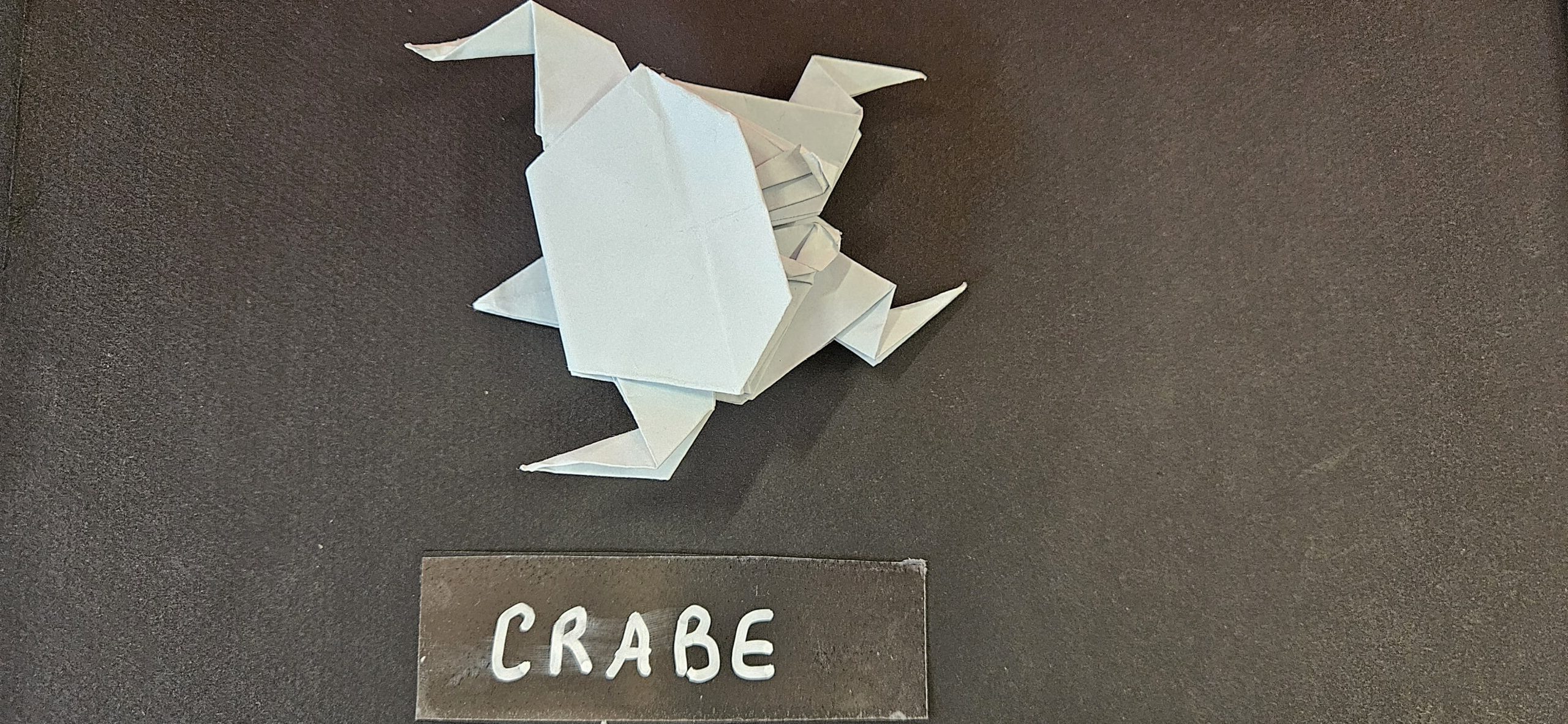 Crabe