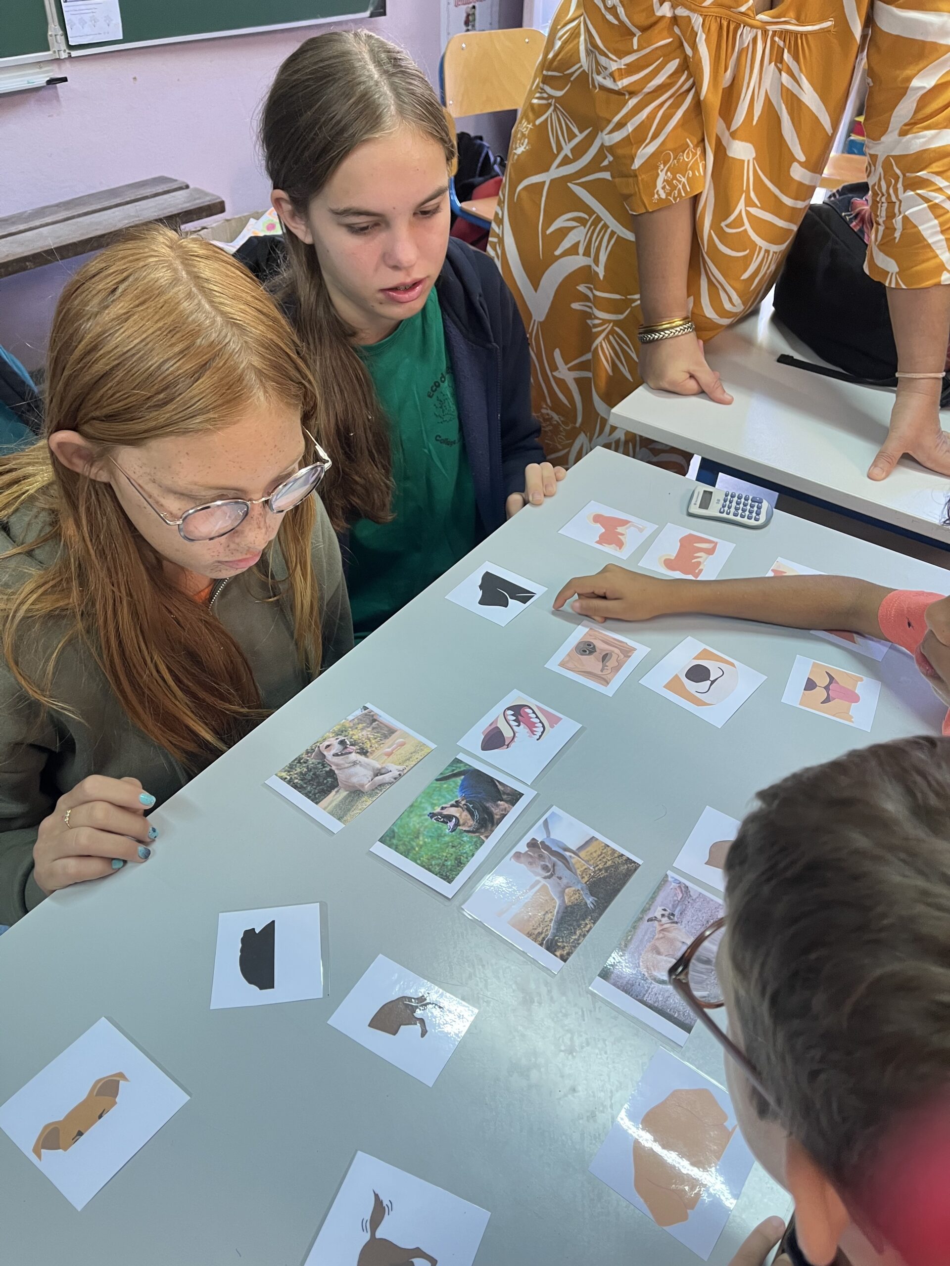 Eco-délégues&Elèves_Combavas_Jeu