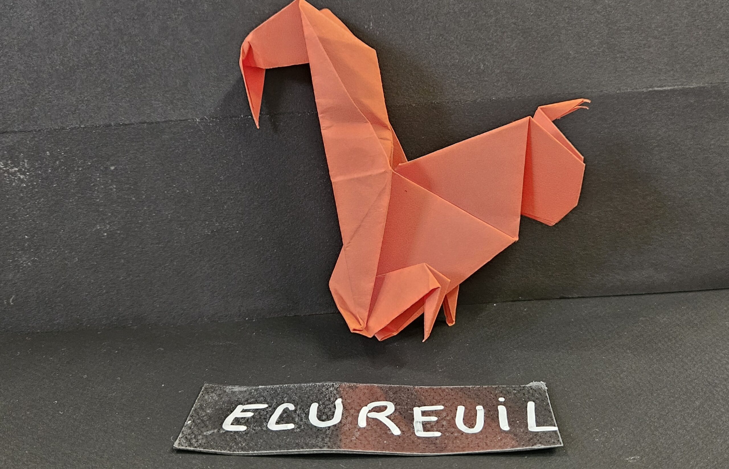 Ecureuil