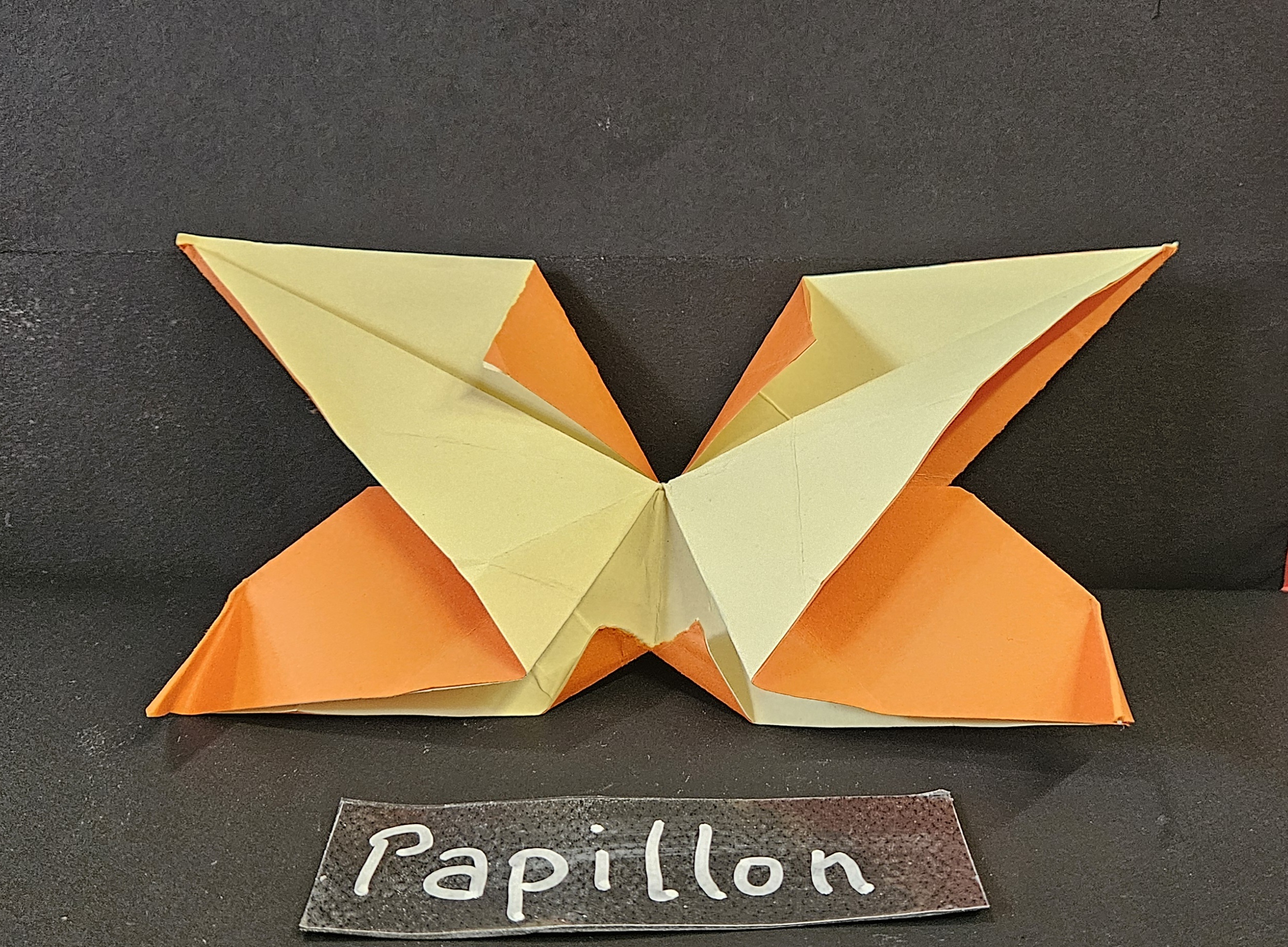 Papillon