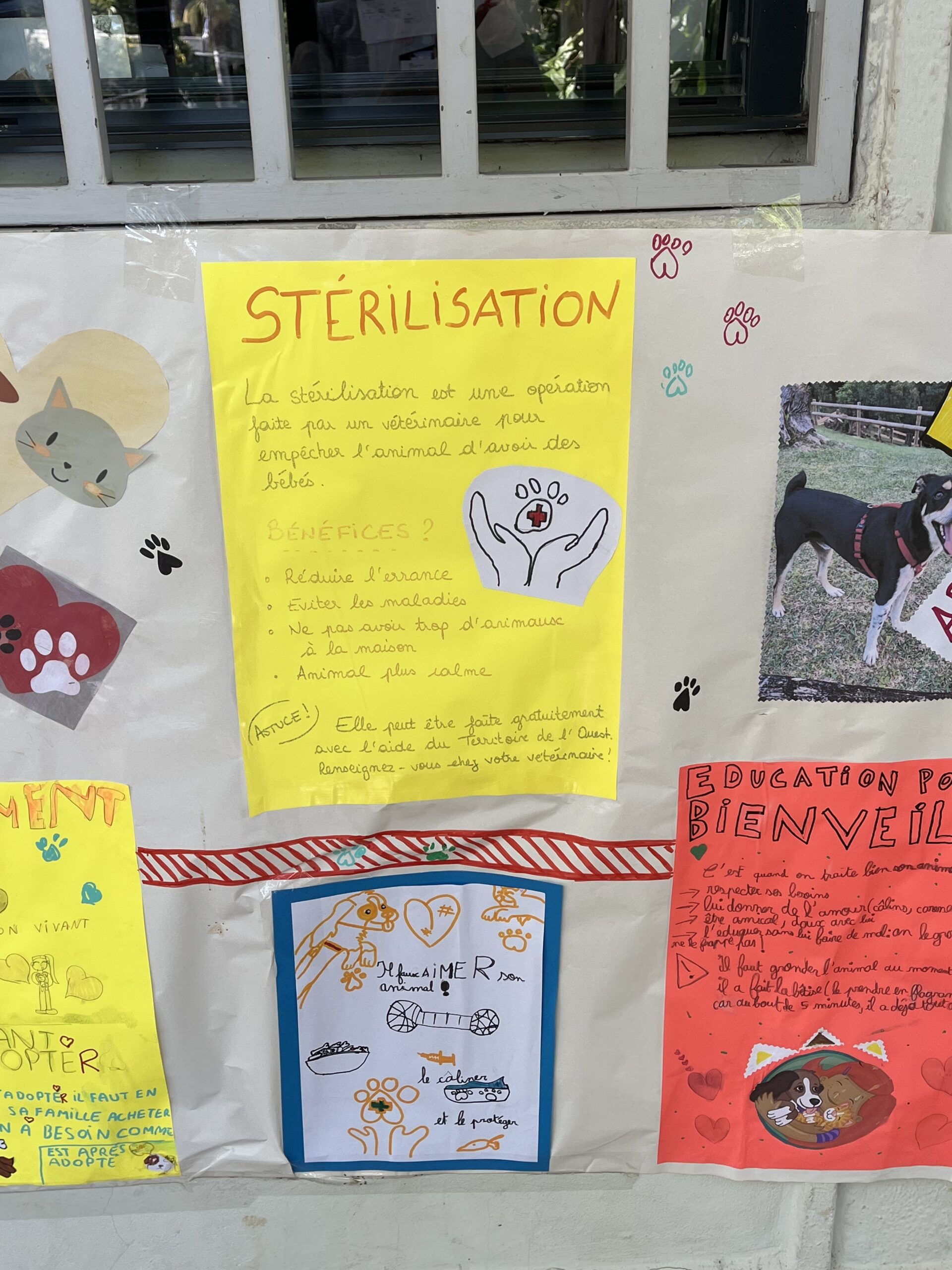Sterelisation1