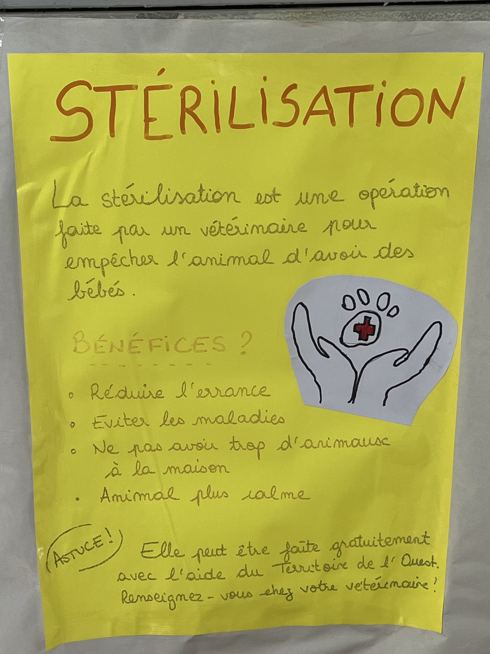 Sterelisation2
