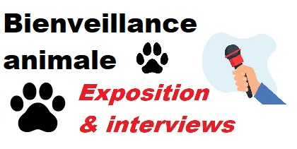 Les éco-délégués nous sensibilisent à la bientraitance animale : Expo et interviews