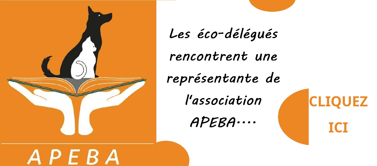 Intervention de l’APEBA avec les éco-délégués