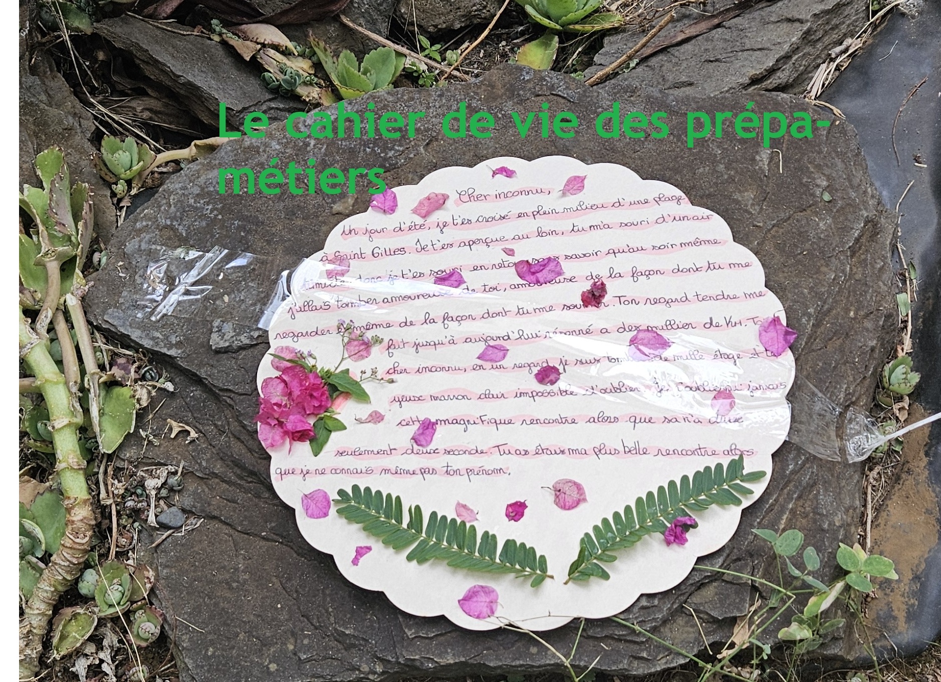 Solitudes – Pièce pour un.e inconnu.e : Projet mené par l’artiste Simona Casagrande avec les élèves de 3e Prépa-Métiers