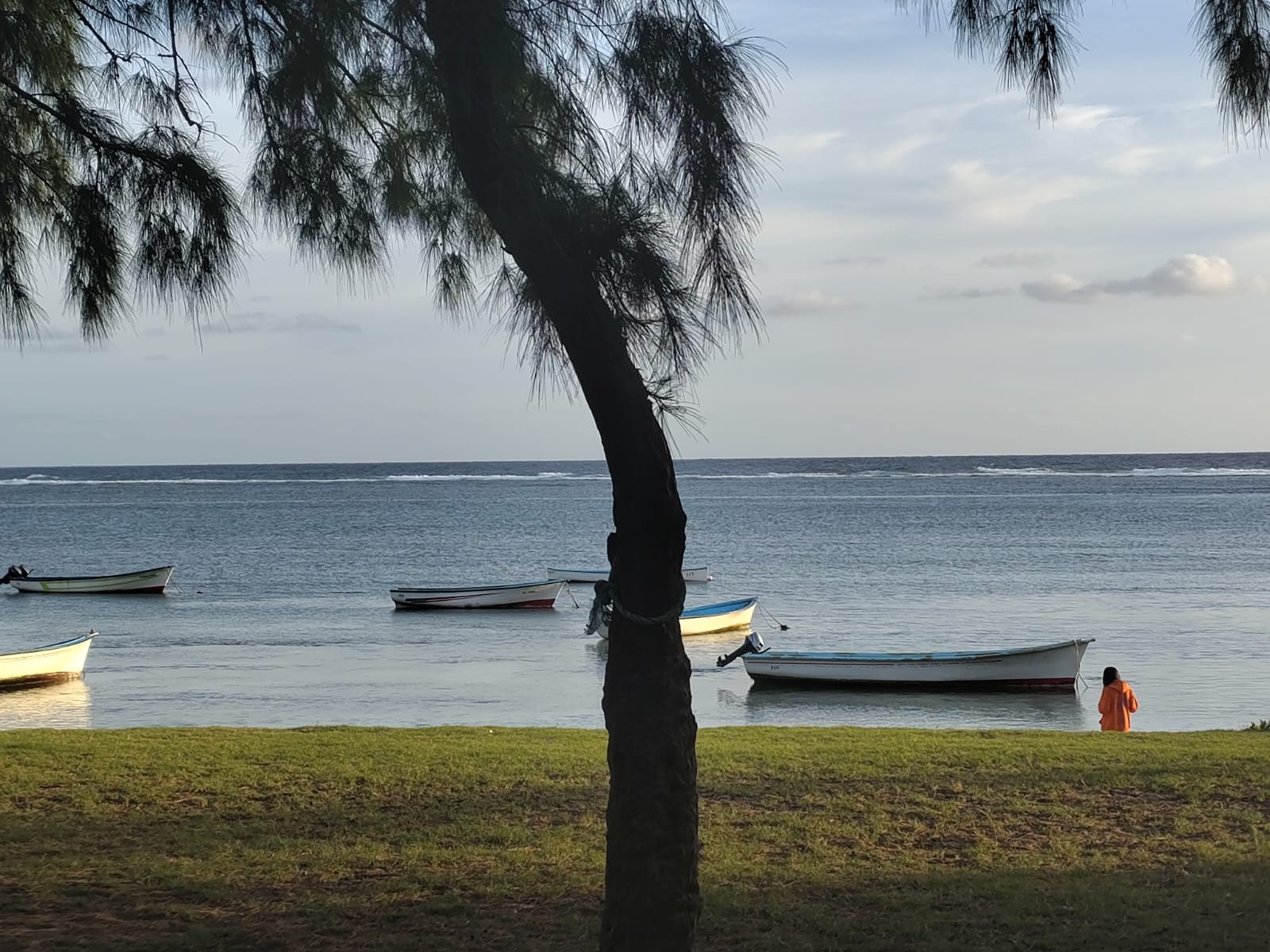 Rodrigues 4 (13)